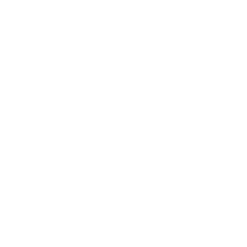Agile-Punk